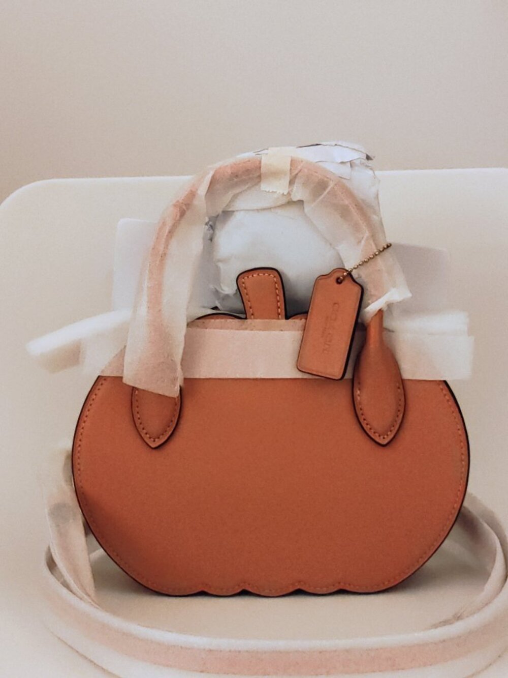 NWT Coach Pumpkin Bag in Glovetanned Leather